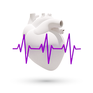 Cardiovascular - Introduction & Heritage