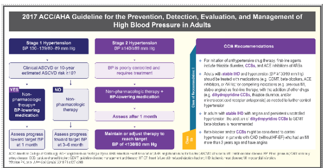 Norvasc® Treatment Guidelines